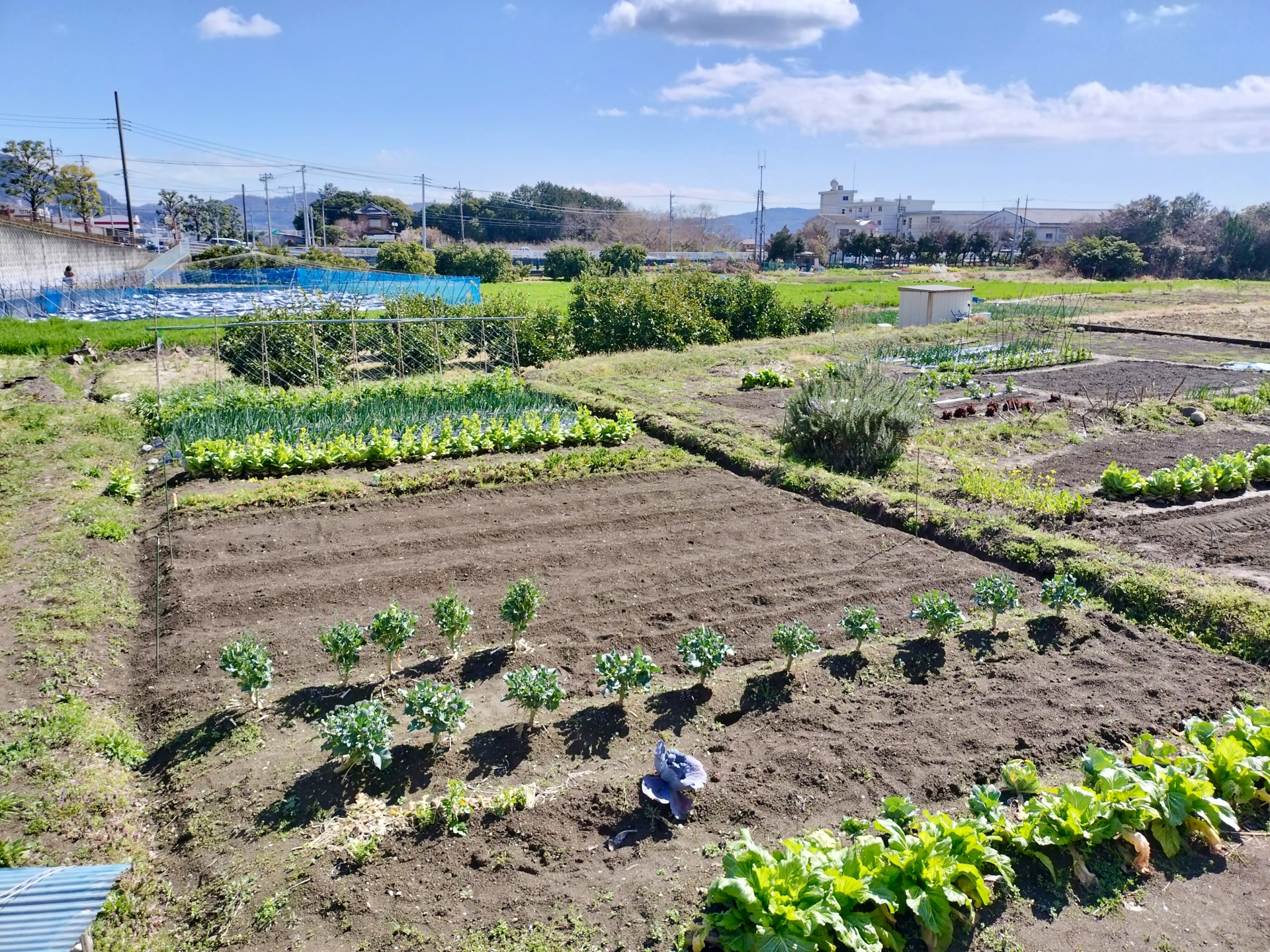 くらし・にわ・いえ KIT PLUS キットプラス|株式会社三有技建|安城市・岡崎市|規格住宅SIMPLE NOTE-シンプルノート BinO-ビーノ|EXTERIORエクステリア-外構|家具・雑貨