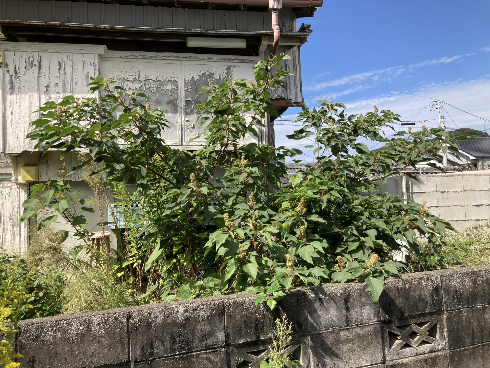 くらし・にわ・いえ KIT PLUS キットプラス|株式会社三有技建|安城市・岡崎市|規格住宅SIMPLE NOTE-シンプルノート BinO-ビーノ|EXTERIORエクステリア-外構|家具・雑貨