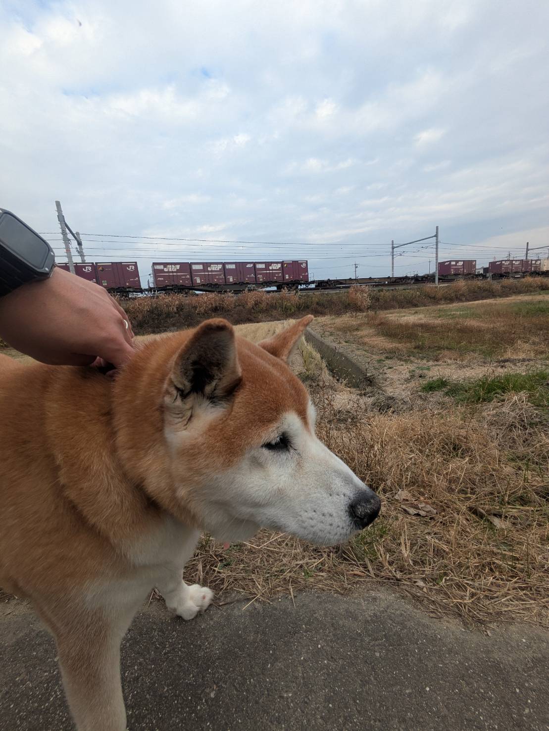 くらし・にわ・いえ　KIT PLUS キットプラス｜株式会社三有技建｜安城市・岡崎市｜規格住宅SIMPLE NOTE-シンプルノート BinO-ビーノ｜EXTERIORエクステリア-外構｜家具・雑貨